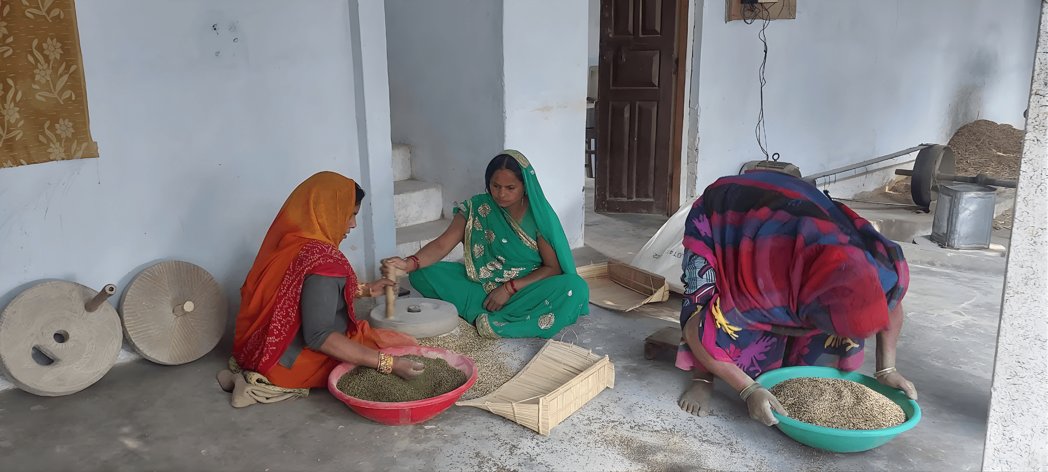 Spice Farming Process