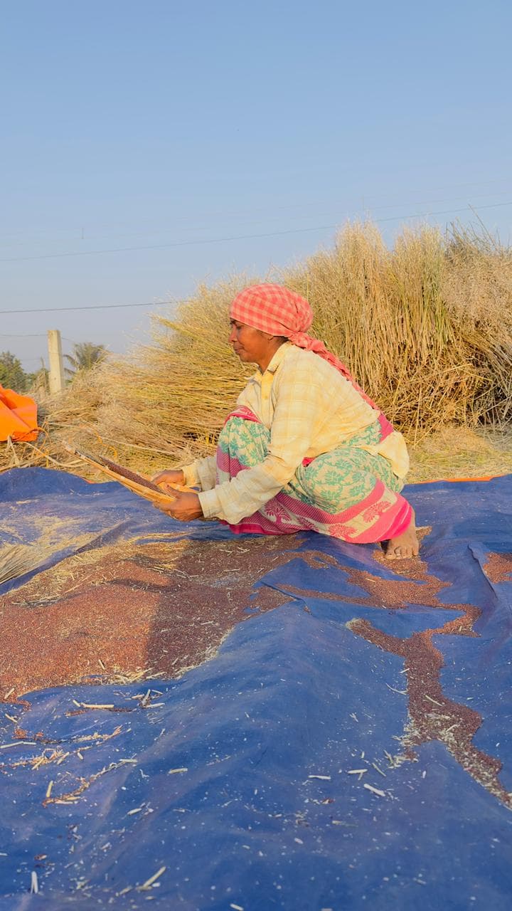 Spice Processing Image 19