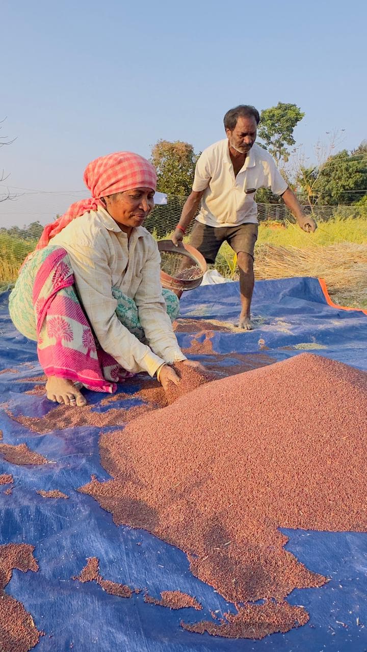 Spice Processing Image 21