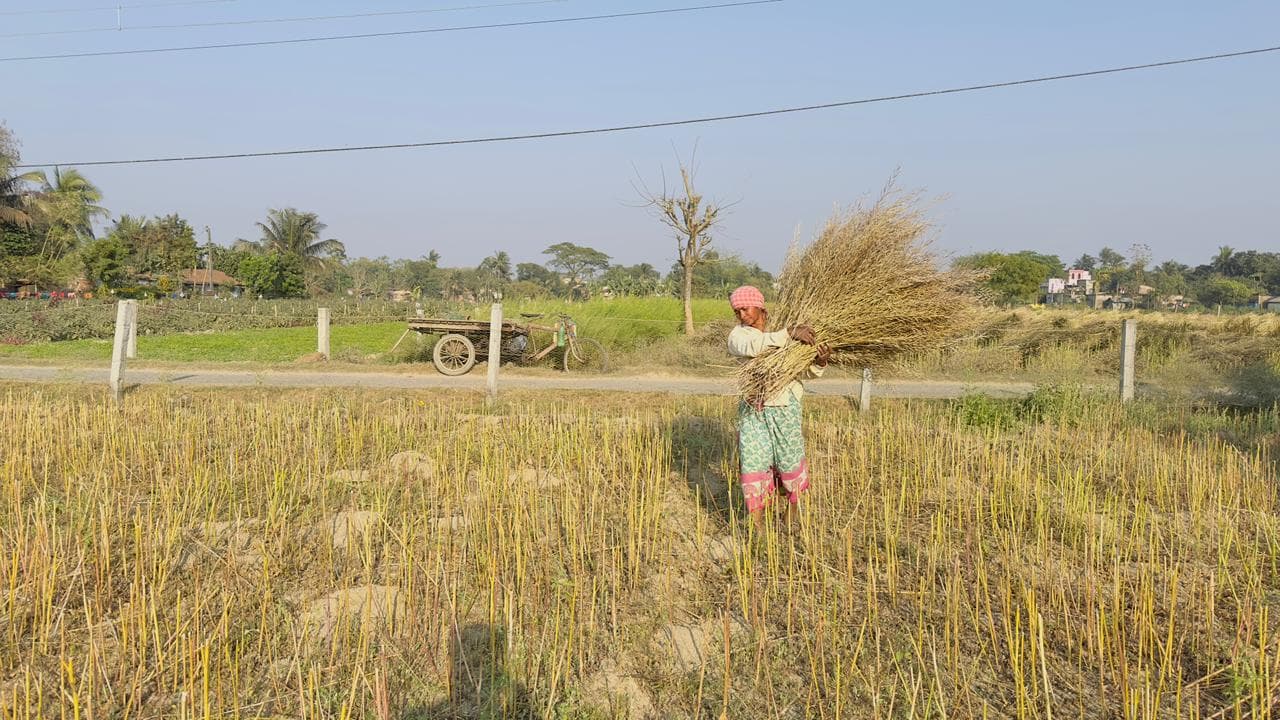 Spice Processing Image 22