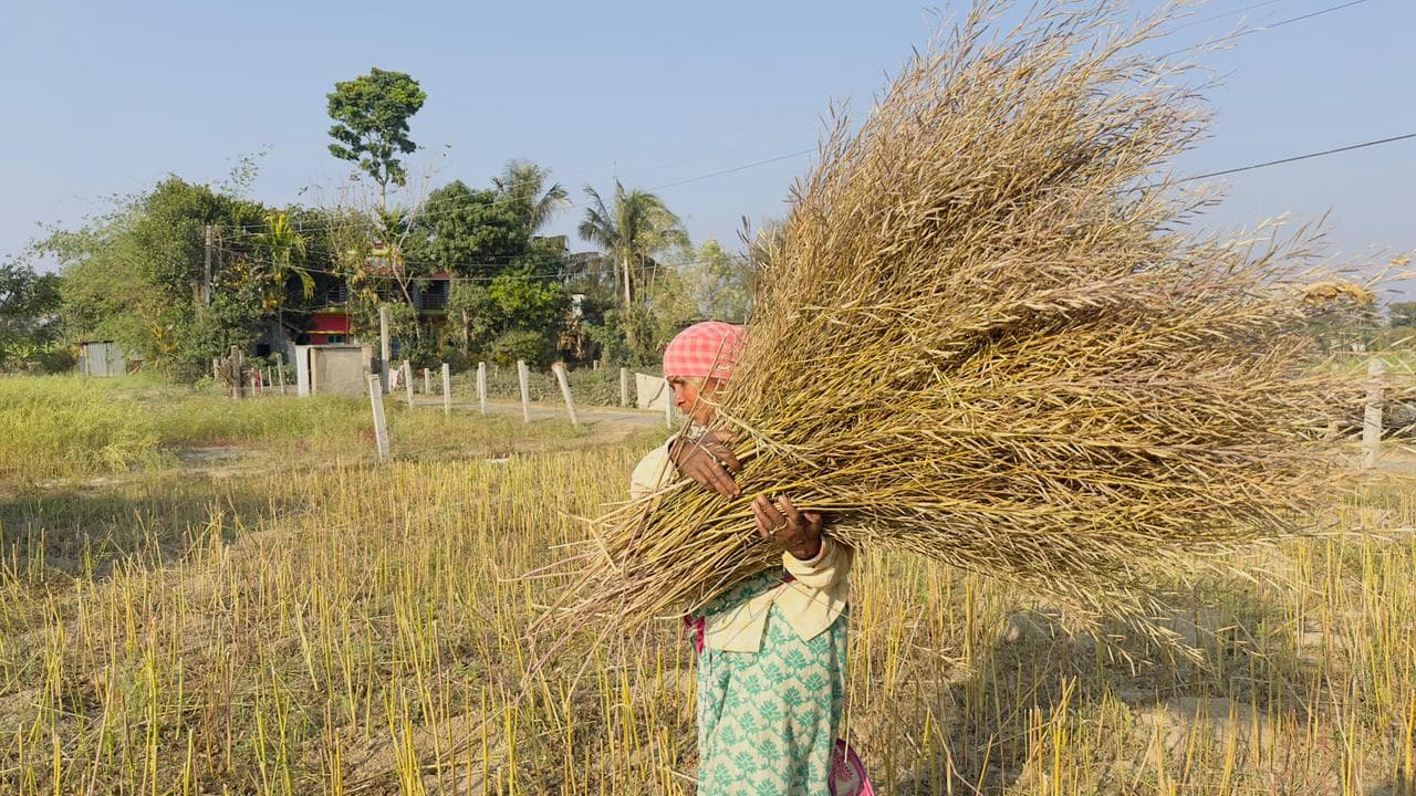 Spice Processing Image 23