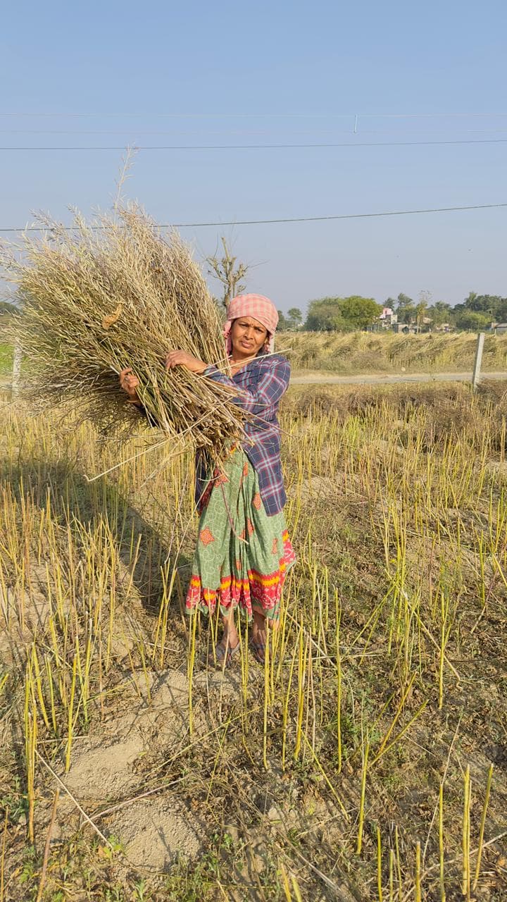 Spice Processing Image 24